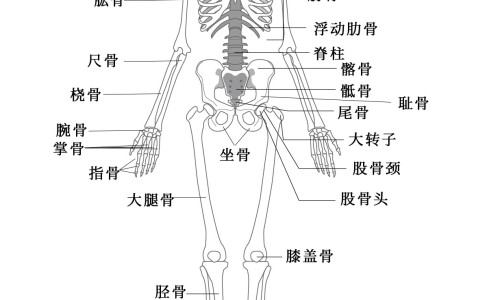 孕妇操早期健身操-孕妇操有哪些动作专区_孕妇操晚期运动操助顺产专区_孕妇操网