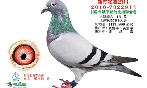 有助孕妈更好的分娩-孕妇操有哪些动作专区_孕妇操晚期运动操助顺产专区_孕妇操网